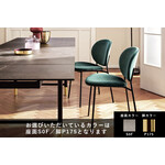 カリガリス イネス ダイニングチェア ／ Calligaris Ines Dining chair[CS2004] S0F 